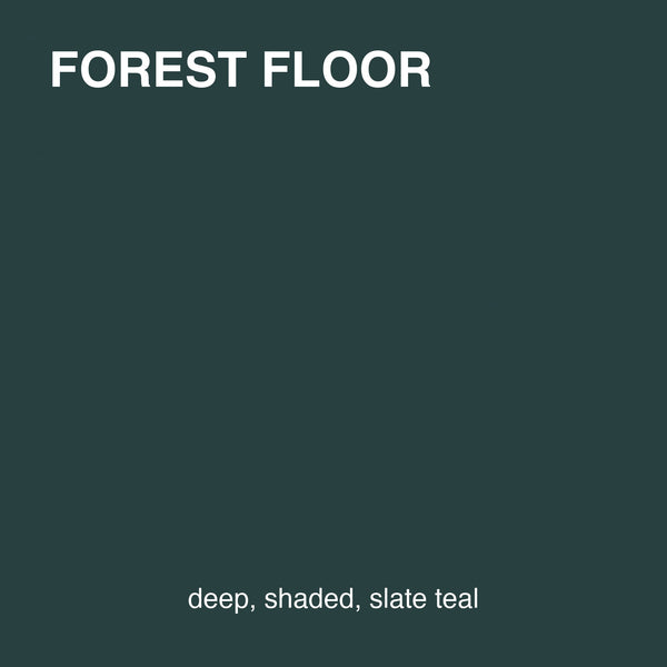 Forest Floor
