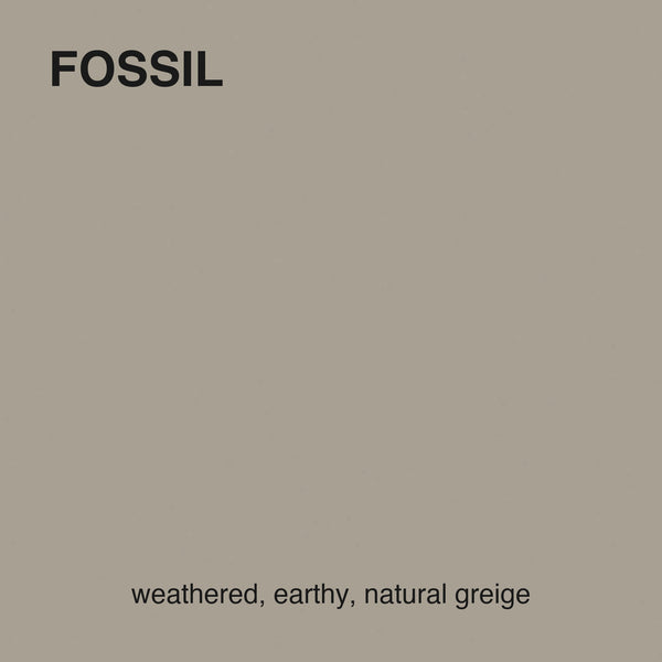 Fossil