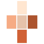 Orange paint sample pack peel and stick swatches