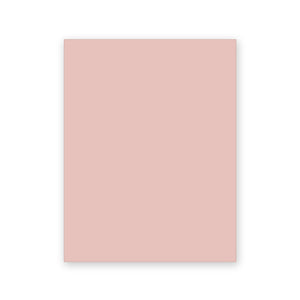 Ballet Slipper peel and stick paint sample