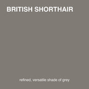 British Shorthair colour tile