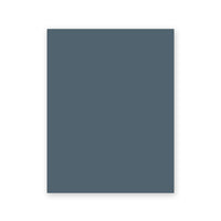 Dimi's Velvet Couch Sample swatch