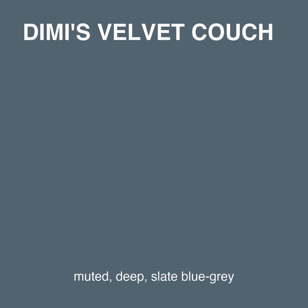 Dimi's Velvet Couch