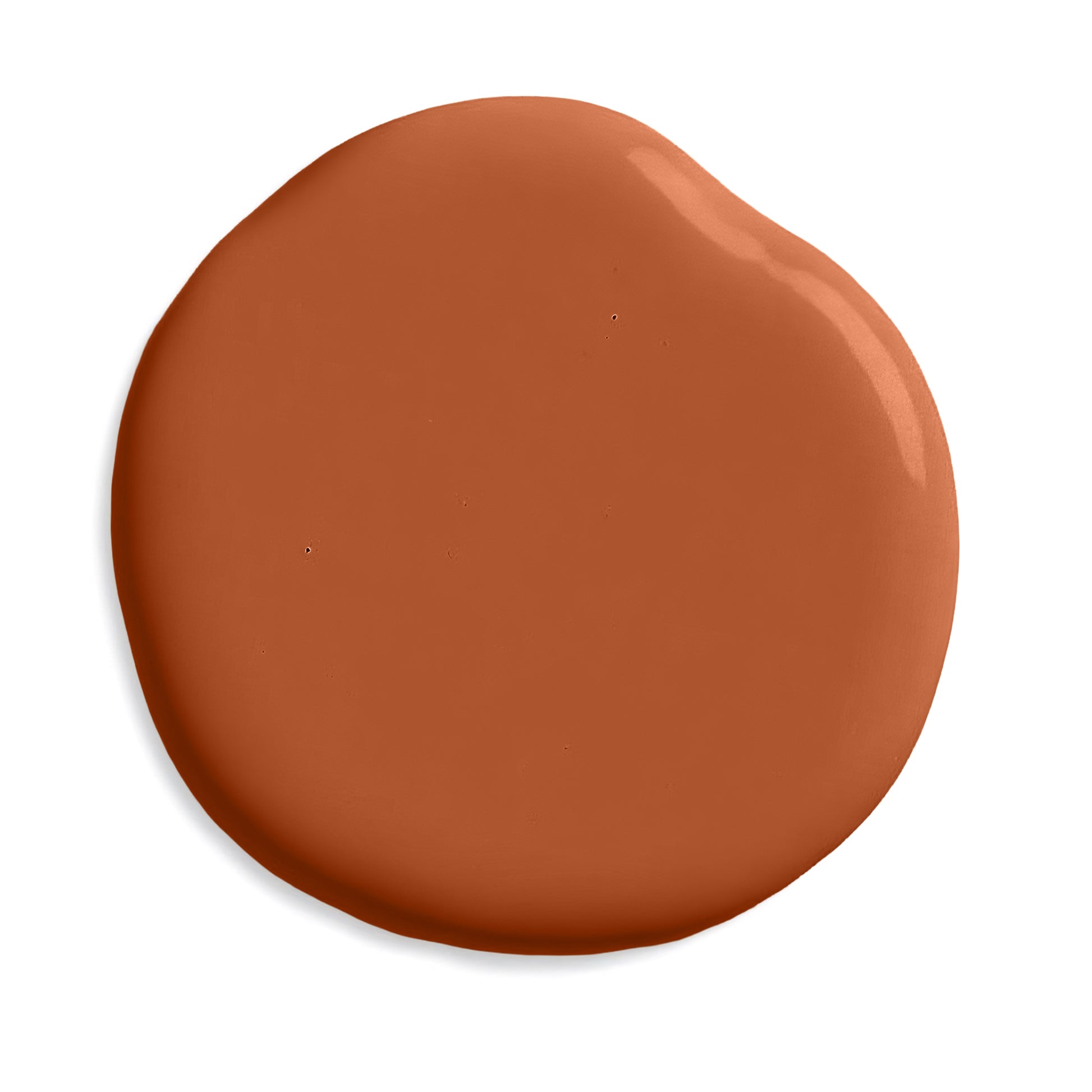 Warm terracotta paint swatch
