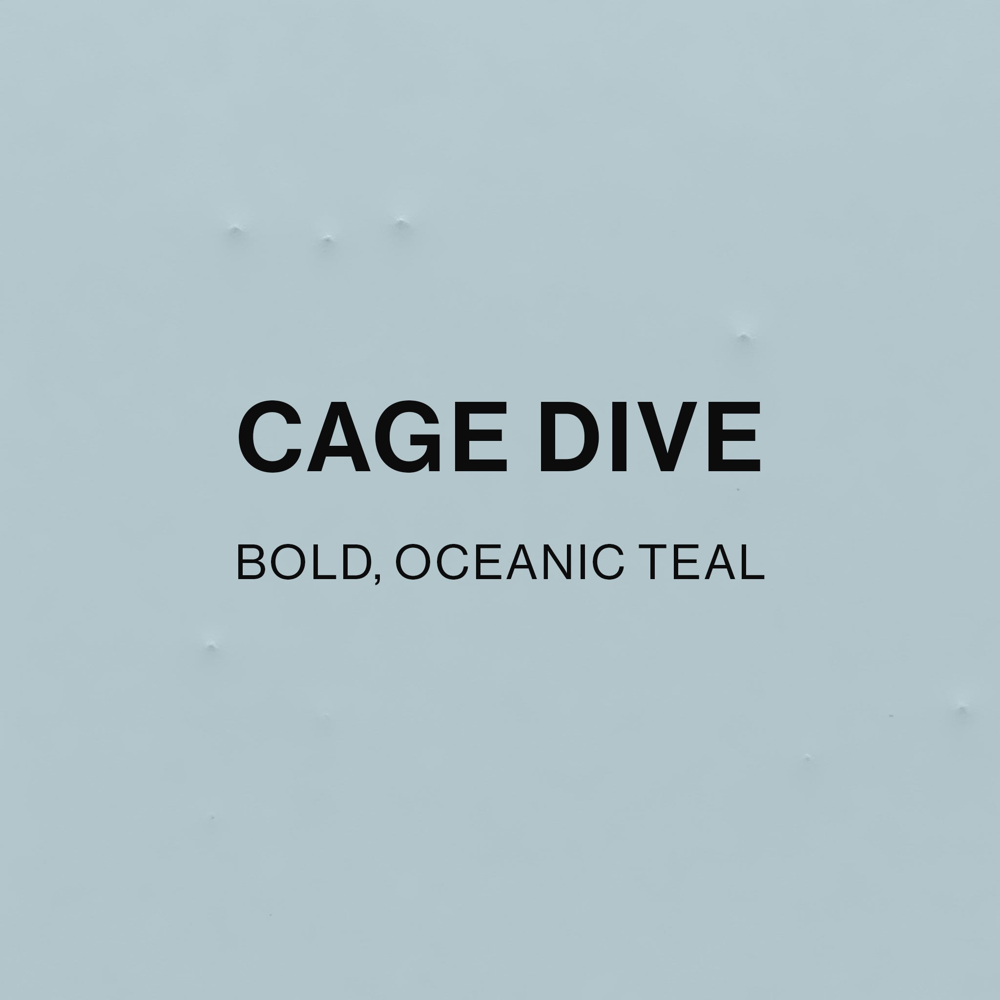 CAGE DIVE