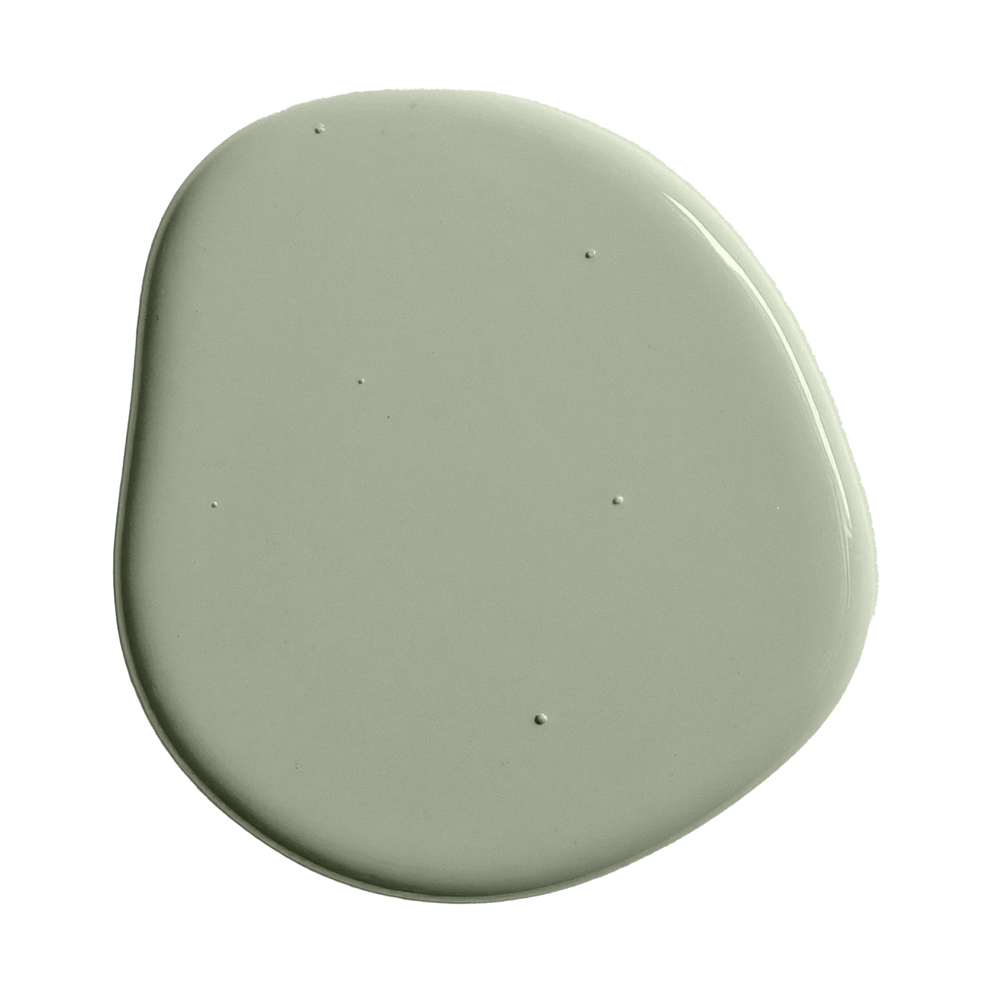 Soft sage paint swatch
