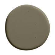 Olive green paint swatch
