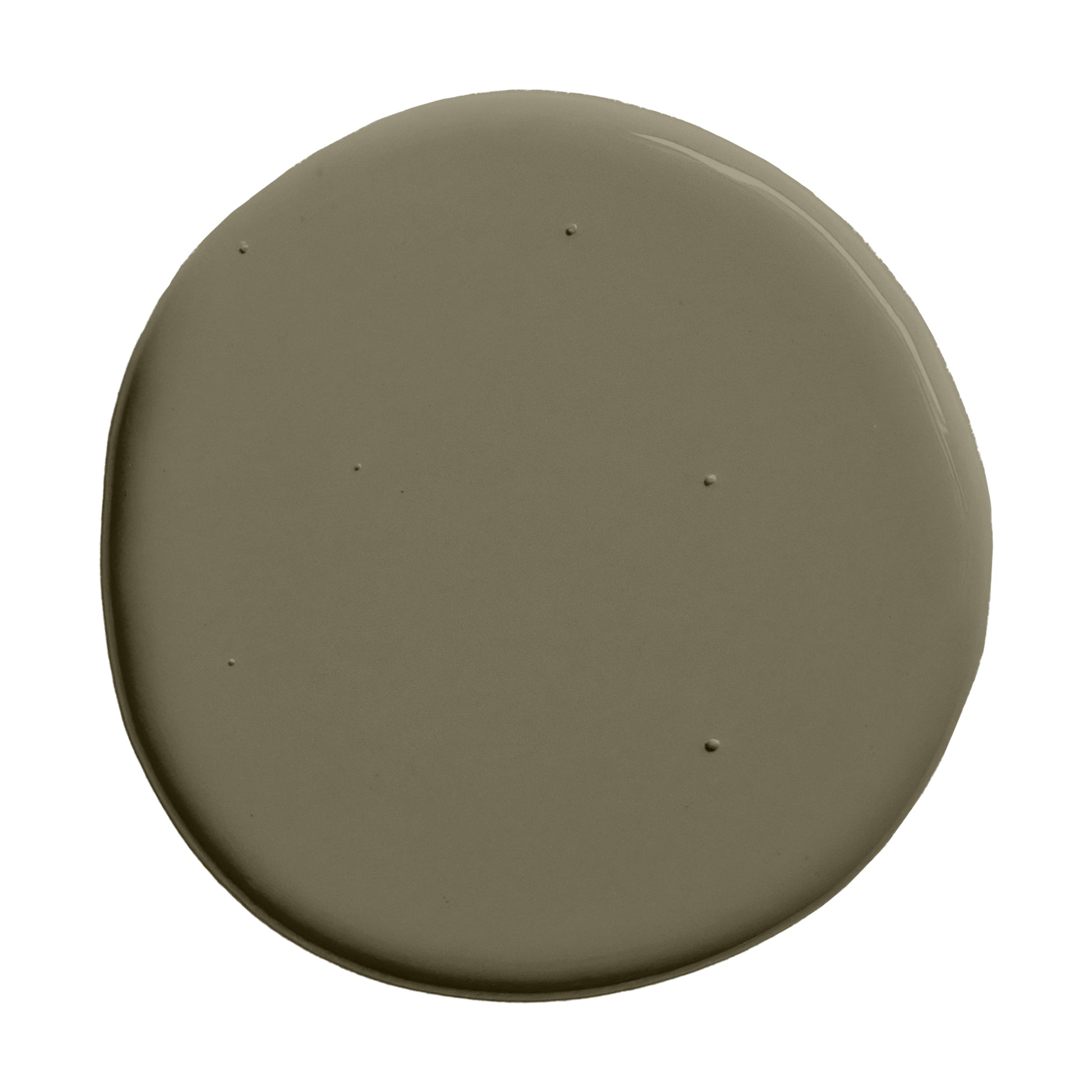 Olive green paint swatch
