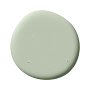 Muted sage paint swatch
