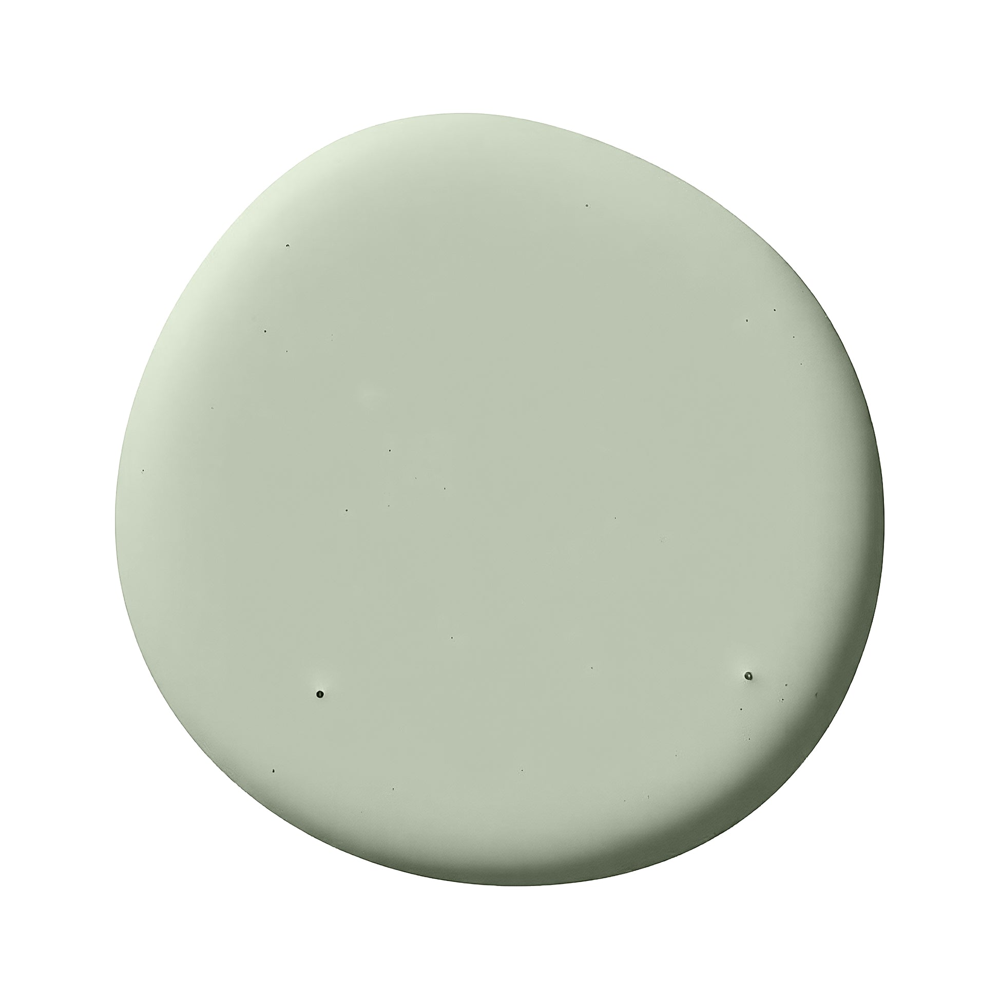 Muted sage paint swatch
