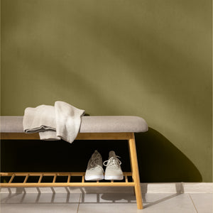 Olive green accent wall
