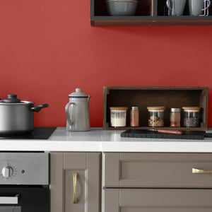 Deep red kitchen wall
