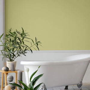 Bathtub in green bathroom