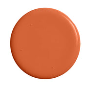 Burnt orange paint swatch
