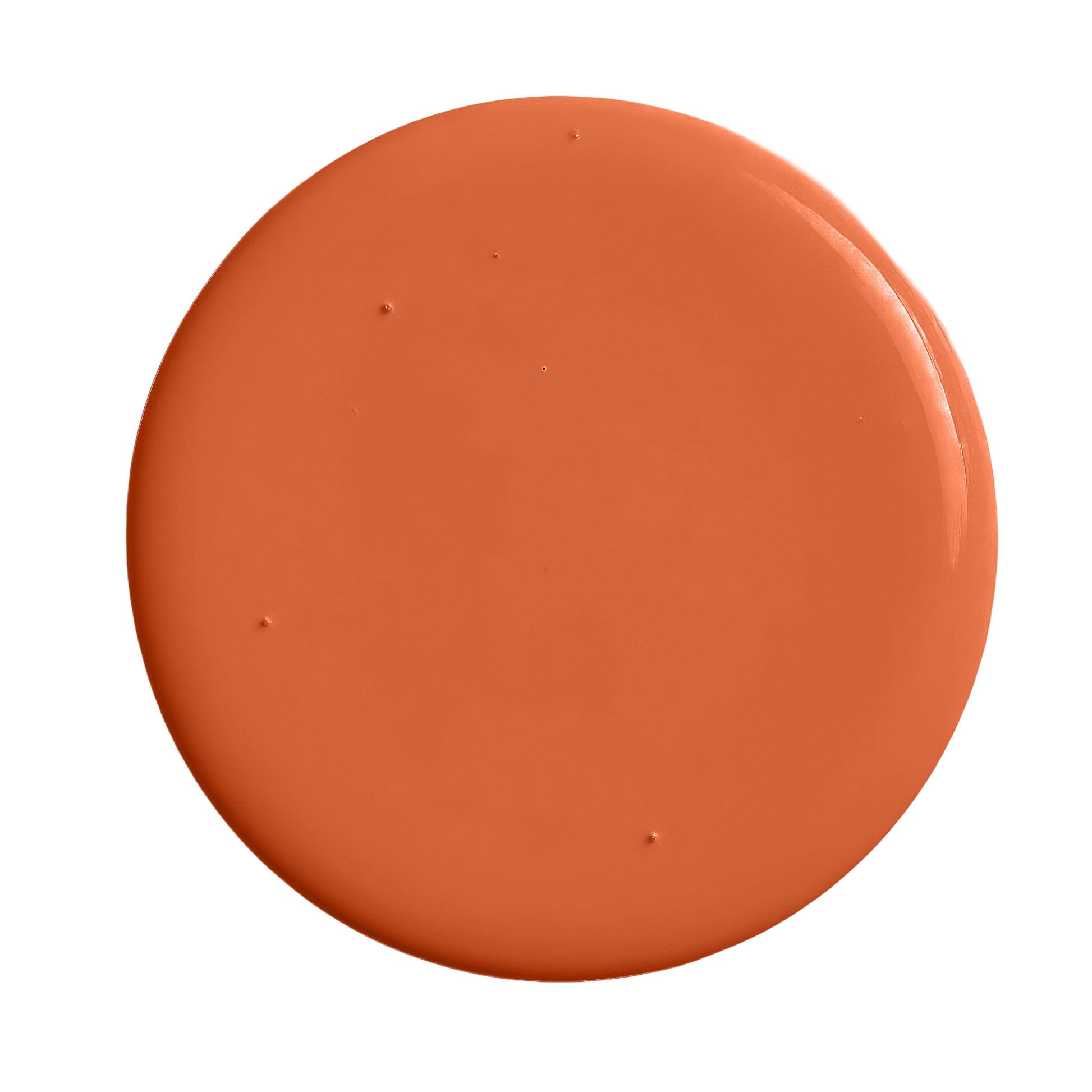 Burnt orange paint swatch
