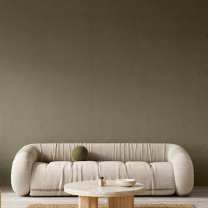 Olive green painted wall
