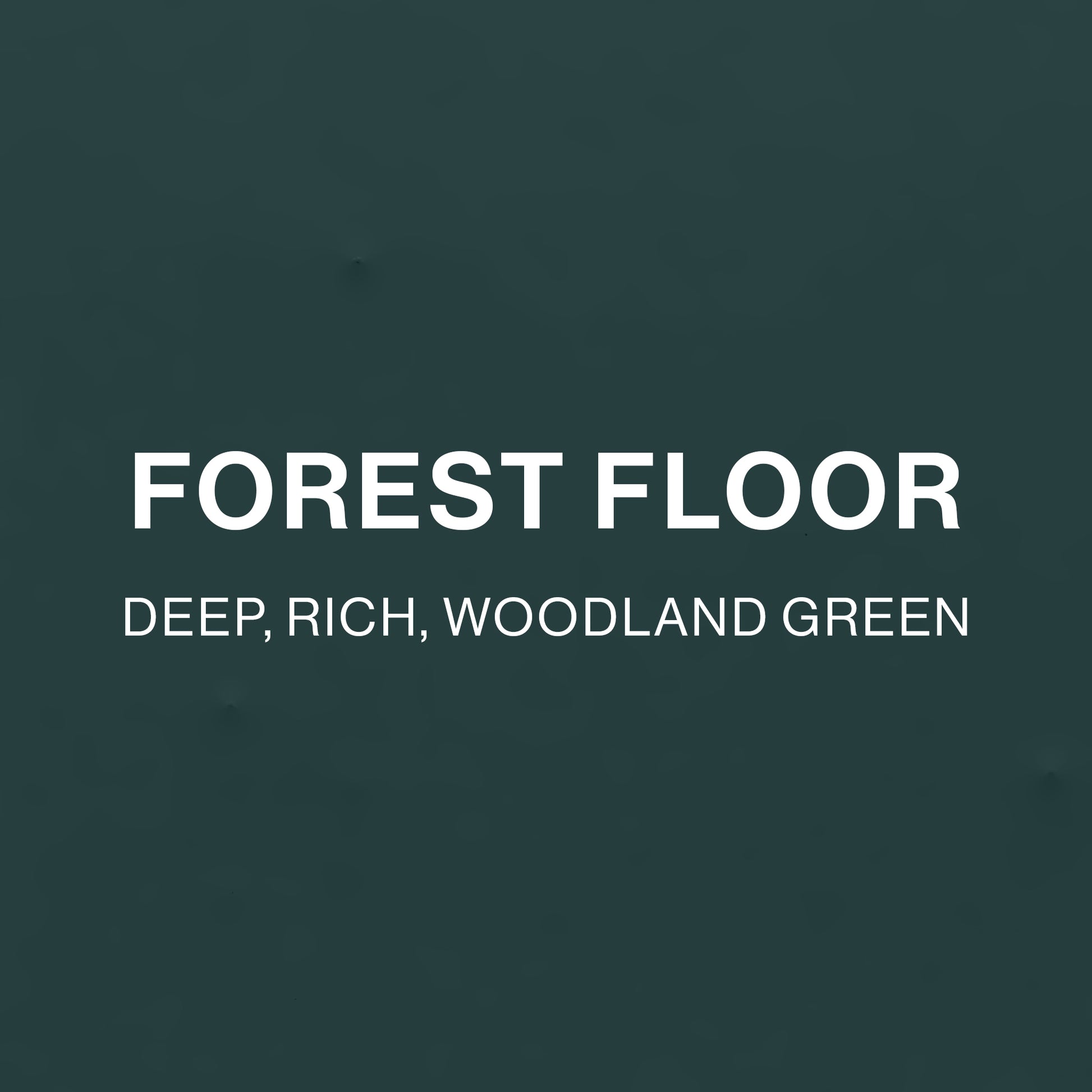 FOREST FLOOR