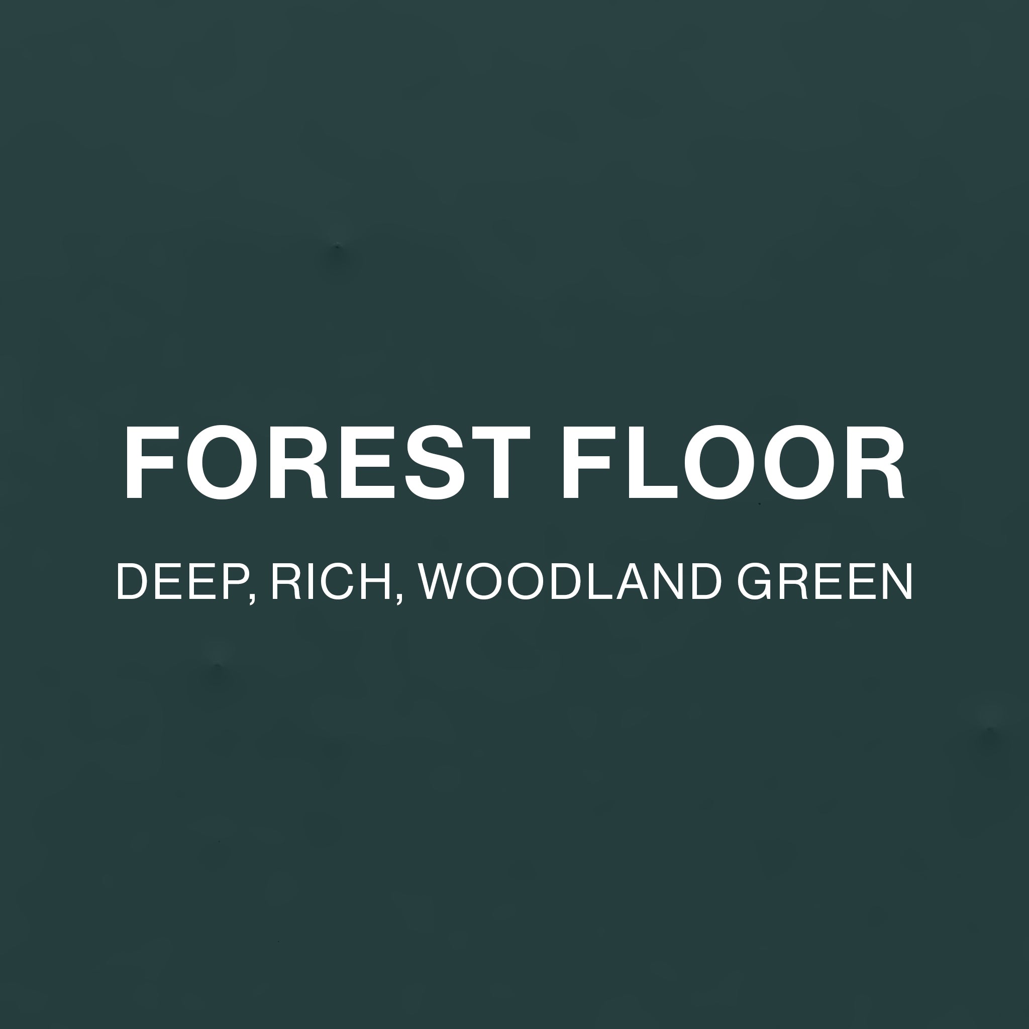 FOREST FLOOR