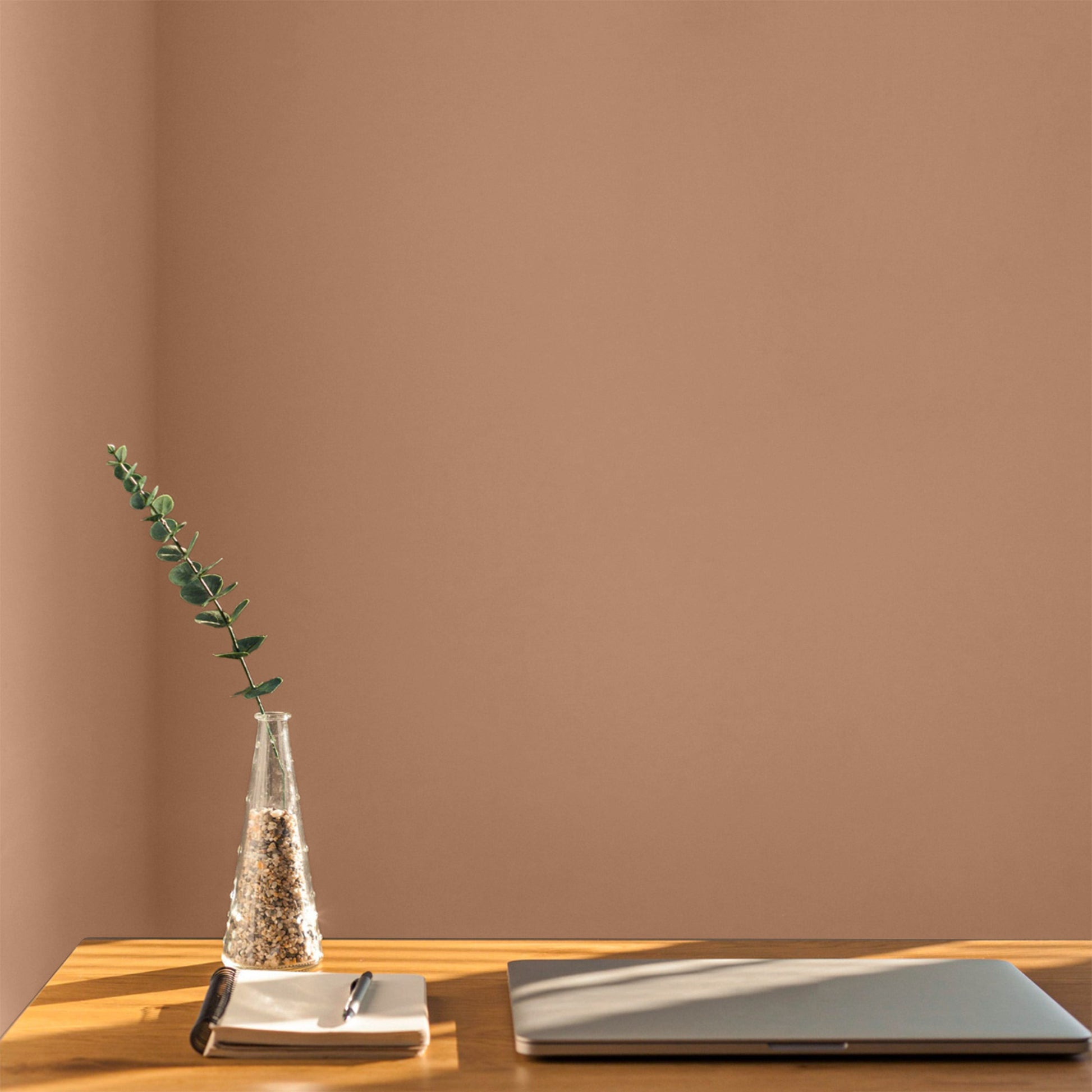 Warm taupe office wall
