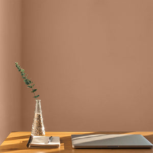Warm taupe office wall
