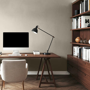 Warm Greige Office Walls
