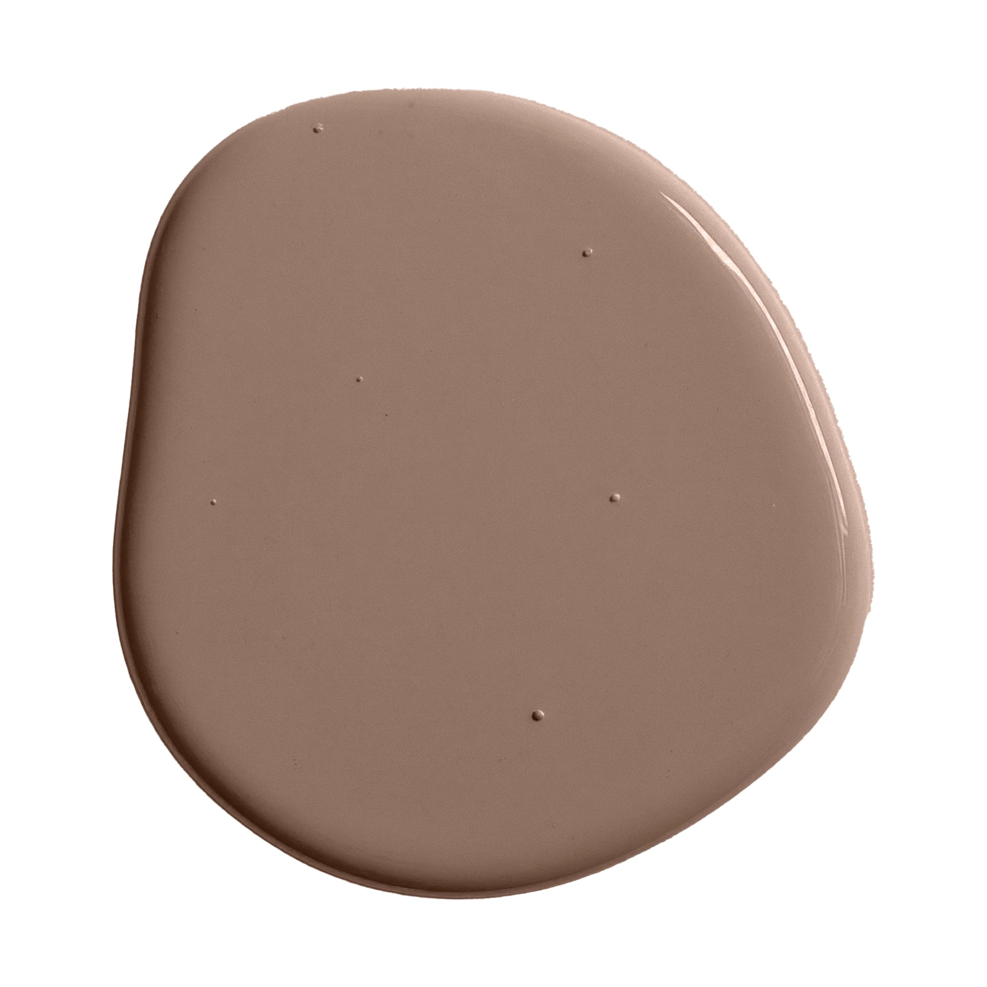 Warm brown paint swatch
