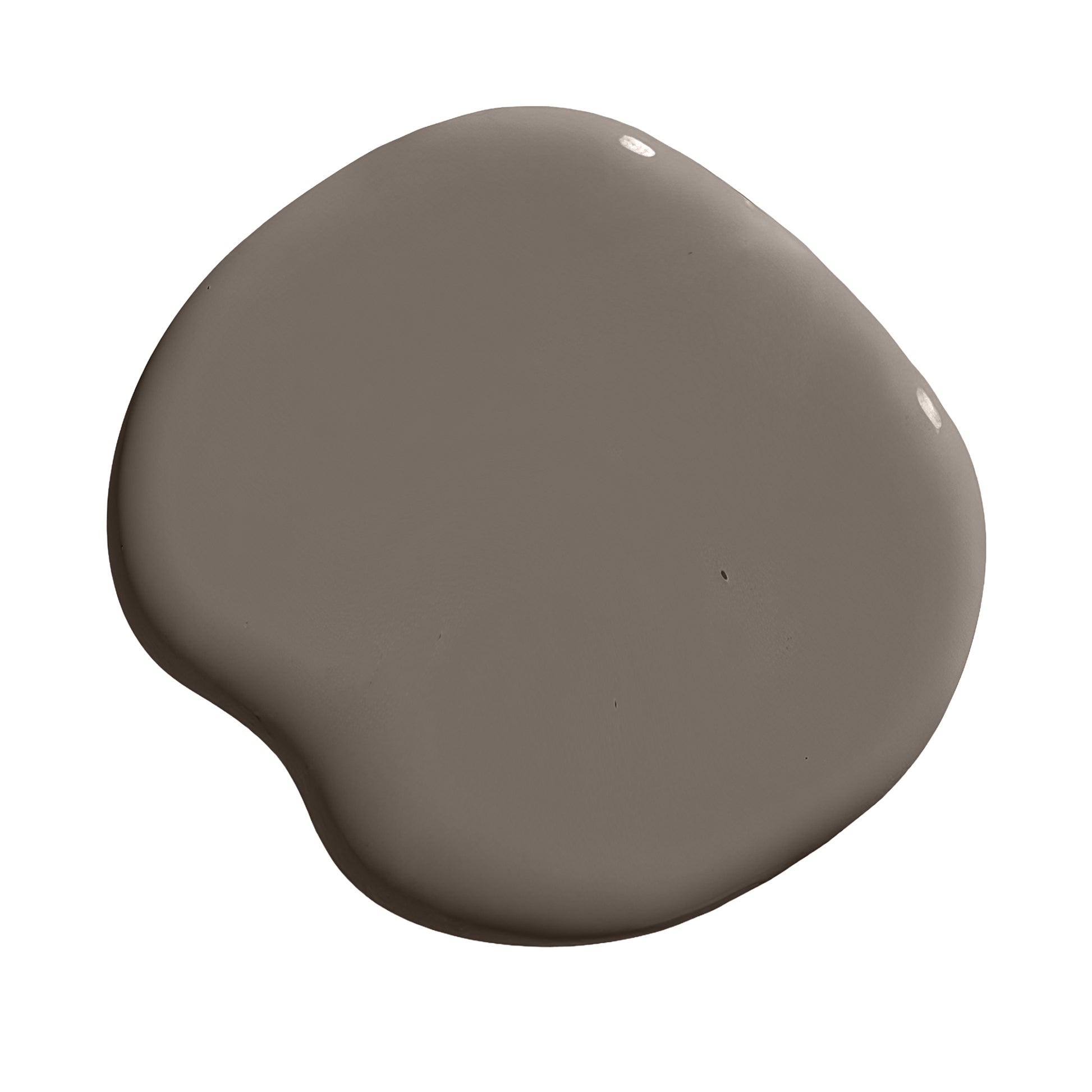 Neutral gray paint swatch
