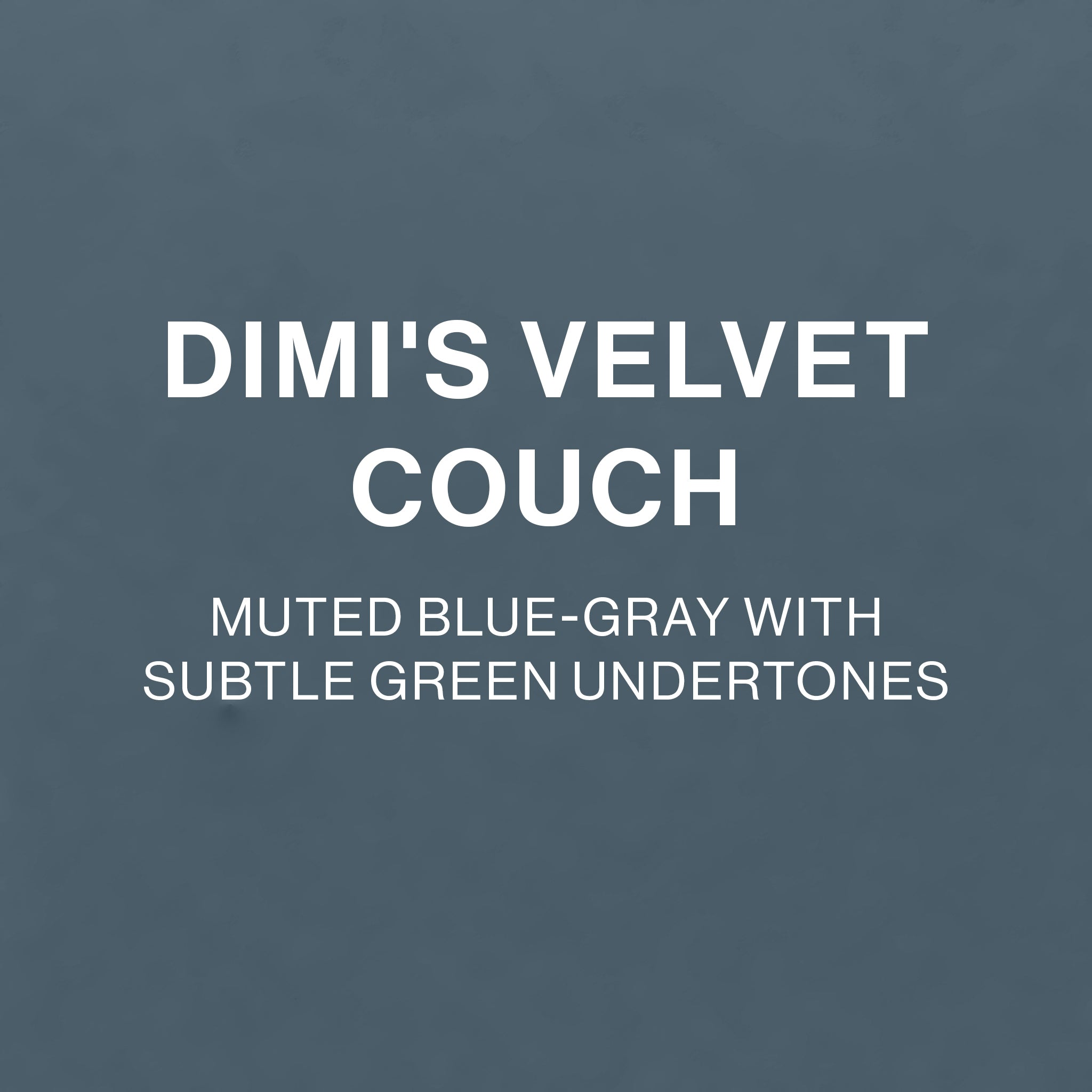 DIMI'S VELVET COUCH