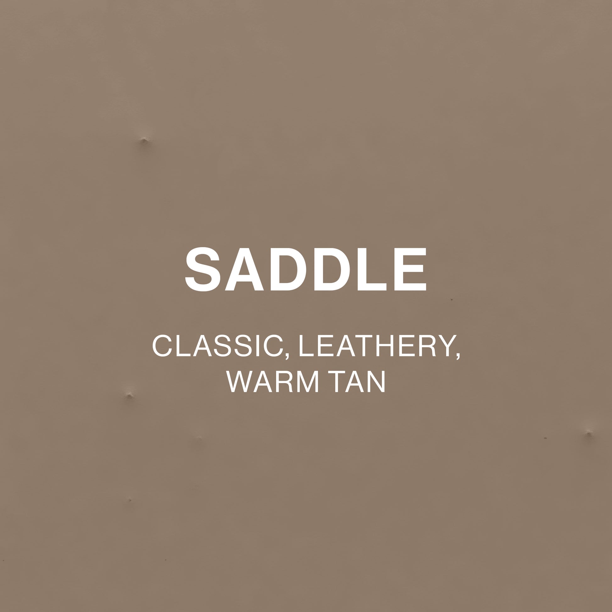 SADDLE
