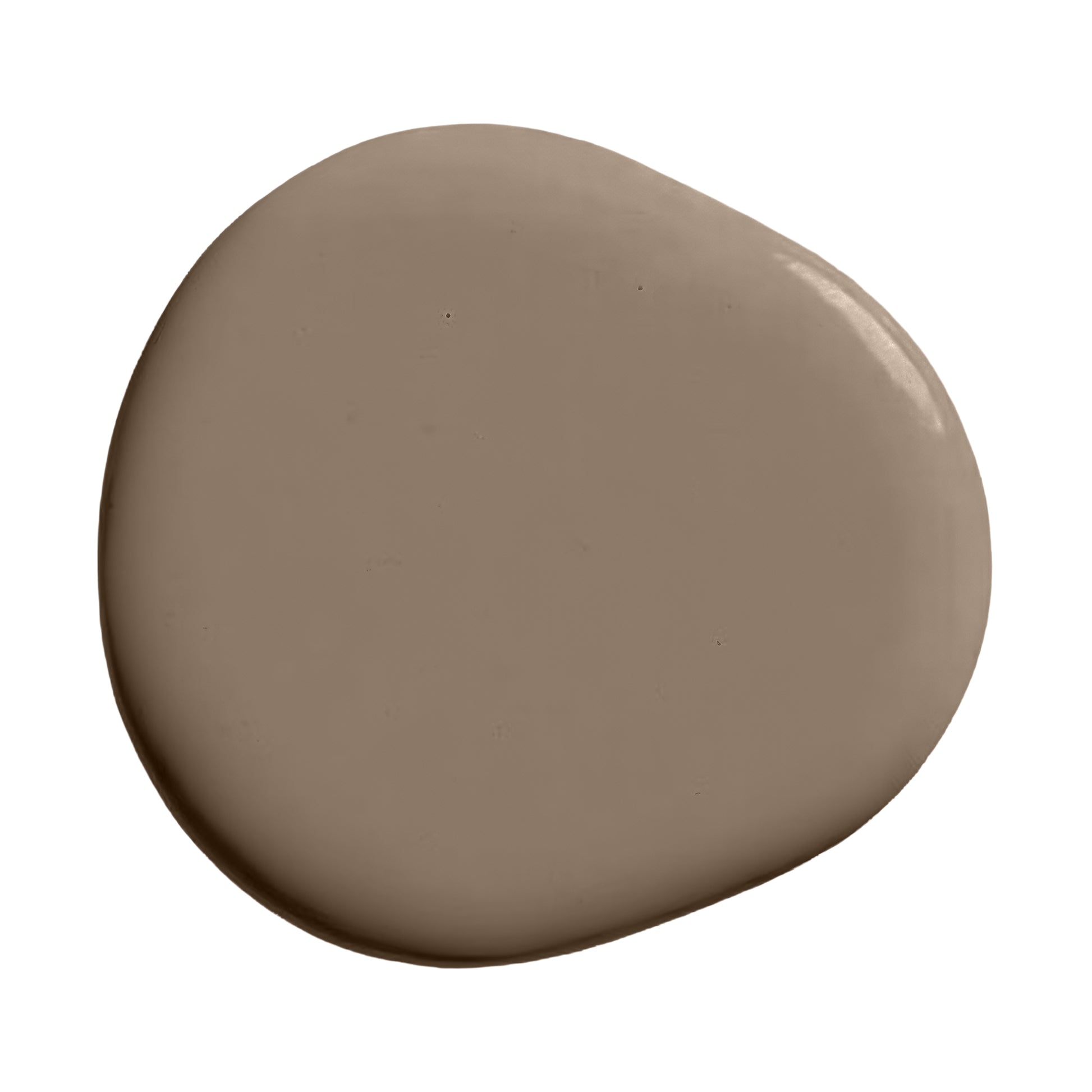 Warm taupe paint swatch
