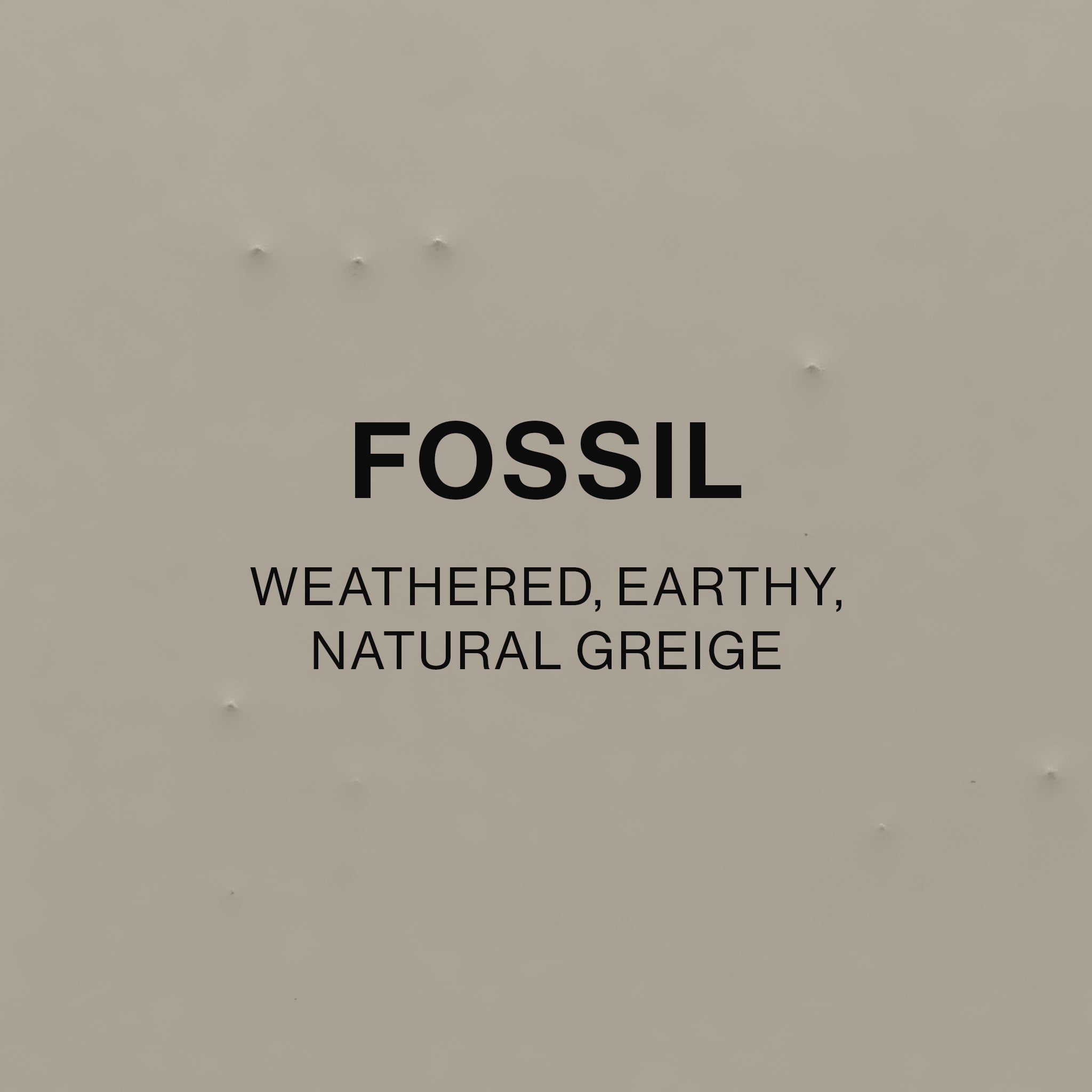 Fossil colour tile
