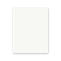 Just White Sample swatch