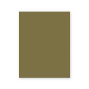 Safari Tent Lounge peel and stick paint sample