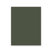 Studio Moss peel and stick paint sample