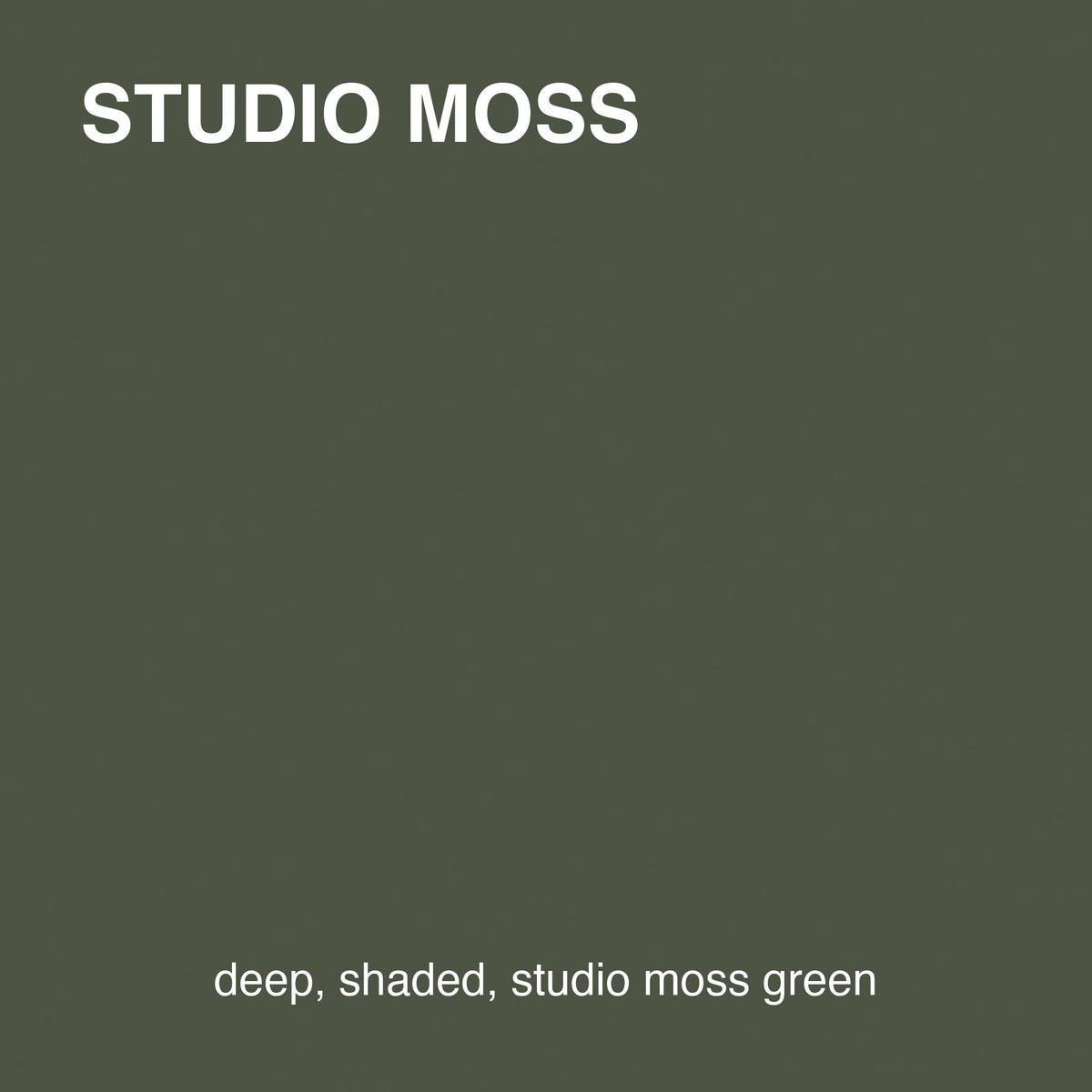 Studio Moss colour tile