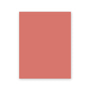 Terracotta Tantrum peel and stick paint sample