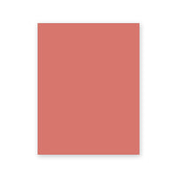 Terracotta Tantrum Sample swatch