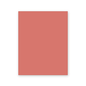 Terracotta Tantrum peel and stick paint sample