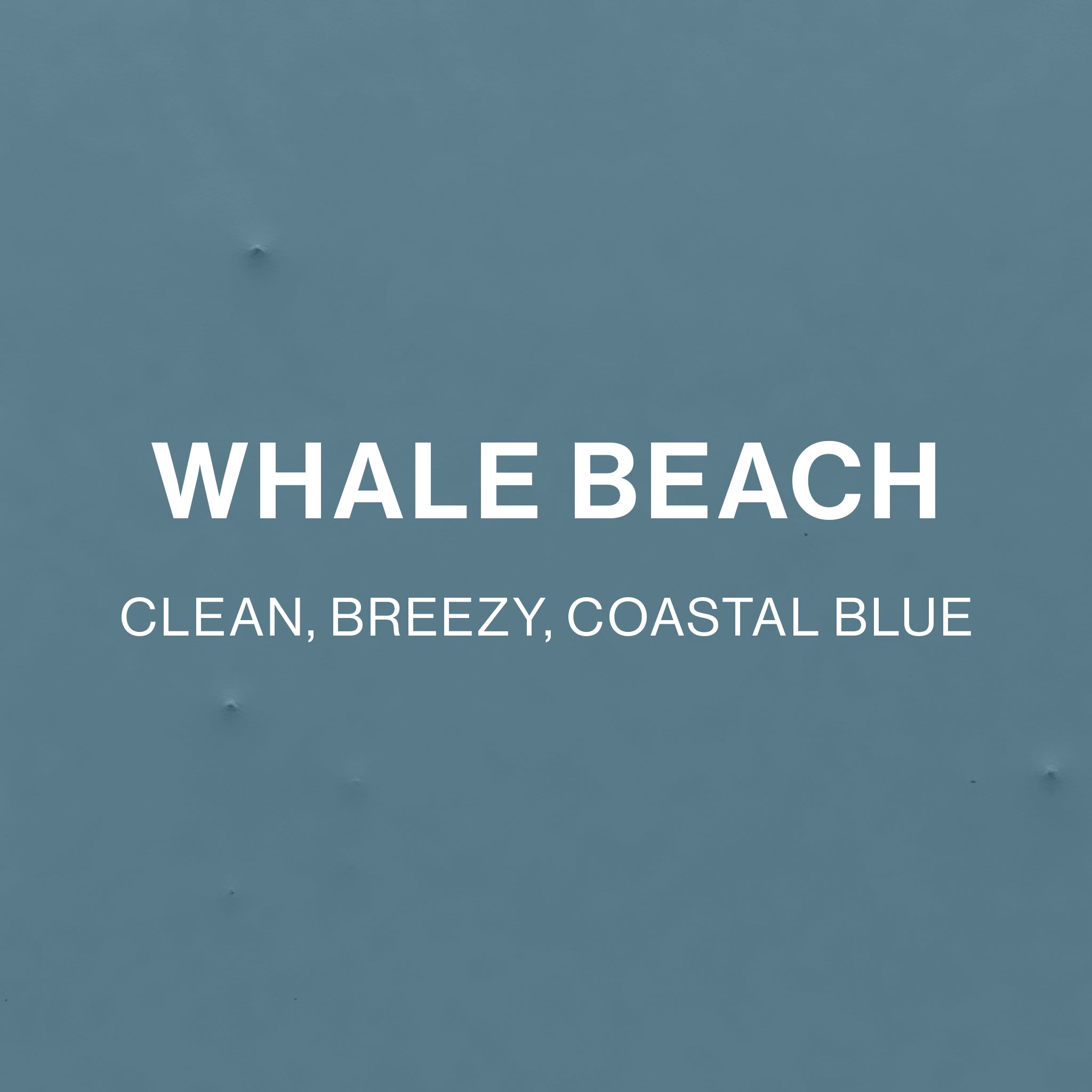 Whale Beach colour tile