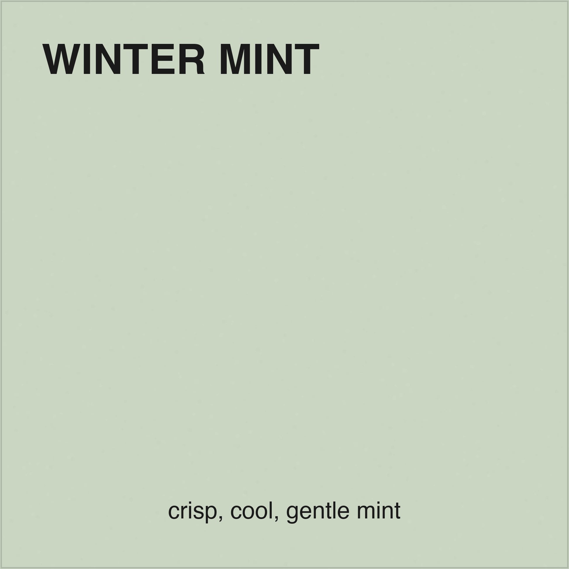 Winter Mint colour tile